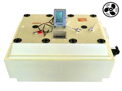 Инкубатор Золушка автоматический 70 яиц с вентилятором на 220/12 вольт - фото 4727